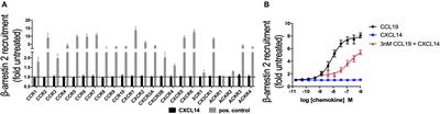 CXCL14 Preferentially Synergizes With Homeostatic Chemokine Receptor Systems